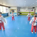 비룡1태권도장 이미지