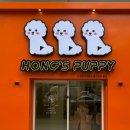 퍼피퍼피 이미지