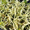 석곡농장 이미지