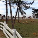 연계목장 이미지