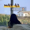 제주이티하우스 | 애월 숙소｜제주도 1박 2일 혼자 여행, 동화 같은 뷰와 가성비 좋은 제주이티하우스