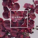 미헤어칼라 이미지