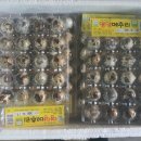 알마니농장 이미지