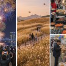 금강나루 영농조합법인 | 2025년 10월 전국 축제 총정리: 완연한 가을, 어디로 떠날까? 황홀한 불꽃 축제부터 은빛 억새가 춤추는...