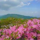 풍기면옥 이미지