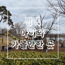 안성천 연결도로 | ​주말 독박육아 탈출! 주차 편하고 놀이터 역대급인 '평택 내리문화공원' 강추