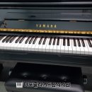마포줄리어드음악학원 이미지