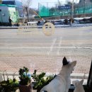 달리는커피포천신읍점