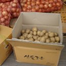 구례축협하나로마트 이미지