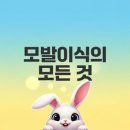 모원성형외과의원 | 비절개 모발이식 비용과 효과는?