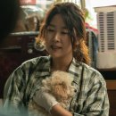 멍뭉이네 이미지