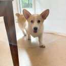 아로마테라피&DIY 이미지