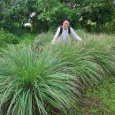 자연이 준 선물 향기 테라피 이미지