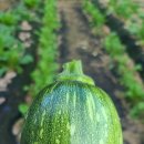 조은노래연습장 이미지