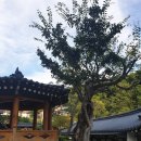 카페새오개길39