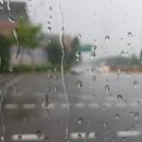 한빛창