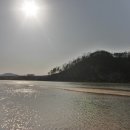 상주낙동강