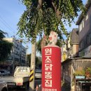 닭내장집 | [안산 선부동] 원조닭똥집 ｜ 안산 숨은 노포 맛집 닭내장볶음 솔직후기