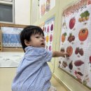 새싹1반) 9월 1주 자유놀이(1) 이미지