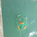 갯바위펜션 이미지