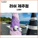 795 | 제주 핫플레이스 러쉬 제주점 영업시간, 주차 ft. 황우치해변