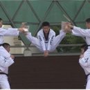 국제태권도 이미지