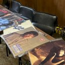 댕댕포레스트 이미지