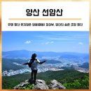 양산 선암산(매봉) : 어곡산업단지 뒤에 뾰족하게 솟은 암봉(양산 등산/양산 산행/어곡마을/우규동별서)