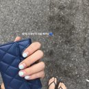 네일바이리