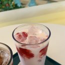 센스테이 | 공릉동 카페 | 매버릭스테이 찐 후기 (아메리카노·딸기라떼·크로와상 샌드위치)