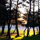 송림공원 이미지