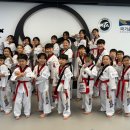 인계스타태권도장 이미지