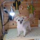 이쁘개(내포신도시점) 이미지