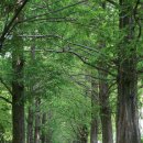 대구호산초등학교 이미지