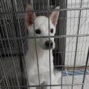 신원로3 이미지