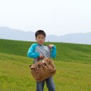 횃불농장 | 고창군 여행 5 - 학원농장, 도암 서원, 동학농민혁명 무장기포지, 구시포, 장호 갯벌체험장