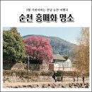 매곡2길 네이버블로그