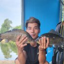 신원대로-7 이미지