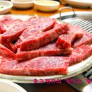 예천지보참우식육식당 Daum카페