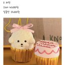 디씨땡 | 투테일즈 성수, 강아지 생일 케이크 주문 제작 전문점 내돈내산 후기!