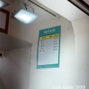 신예도장 | 서울 만두맛집 망원시장 진성만두 얇은 피 꽉 찬 속