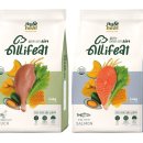 뉴바이오팜 이미지