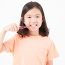 광주세종 이미지