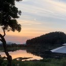 오조숙녀sea 이미지