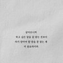말:글