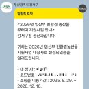 ​[부산 강서구] 2026 임산부 친환경 농산물 꾸러미 선정 후기! 신청방법부터 농협몰 이용 꿀팁까지