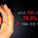 청비광 티스토리