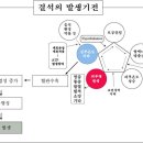 경희피레토한의원 네이버블로그