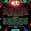 명곡하나약국 | 2025 EDC Korea 강한 자만 살아남는 페스티벌 | 돔돌라 페기구 사랑해요 라인업 최고