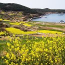 슬로시티청산도 이미지